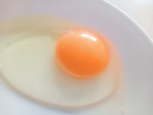卵